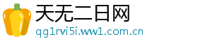 天无二日网